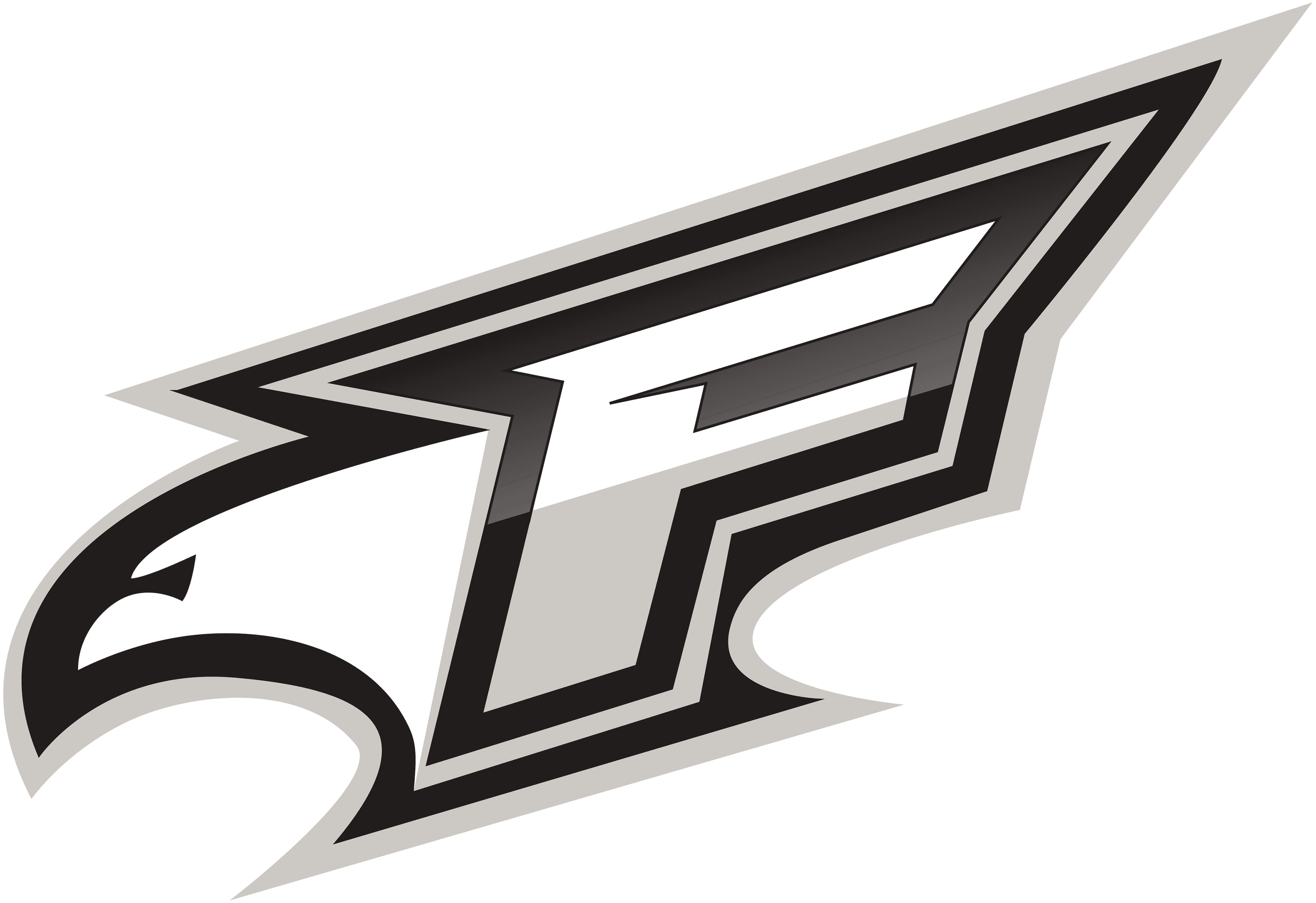 John A. Ferguson Senior High School