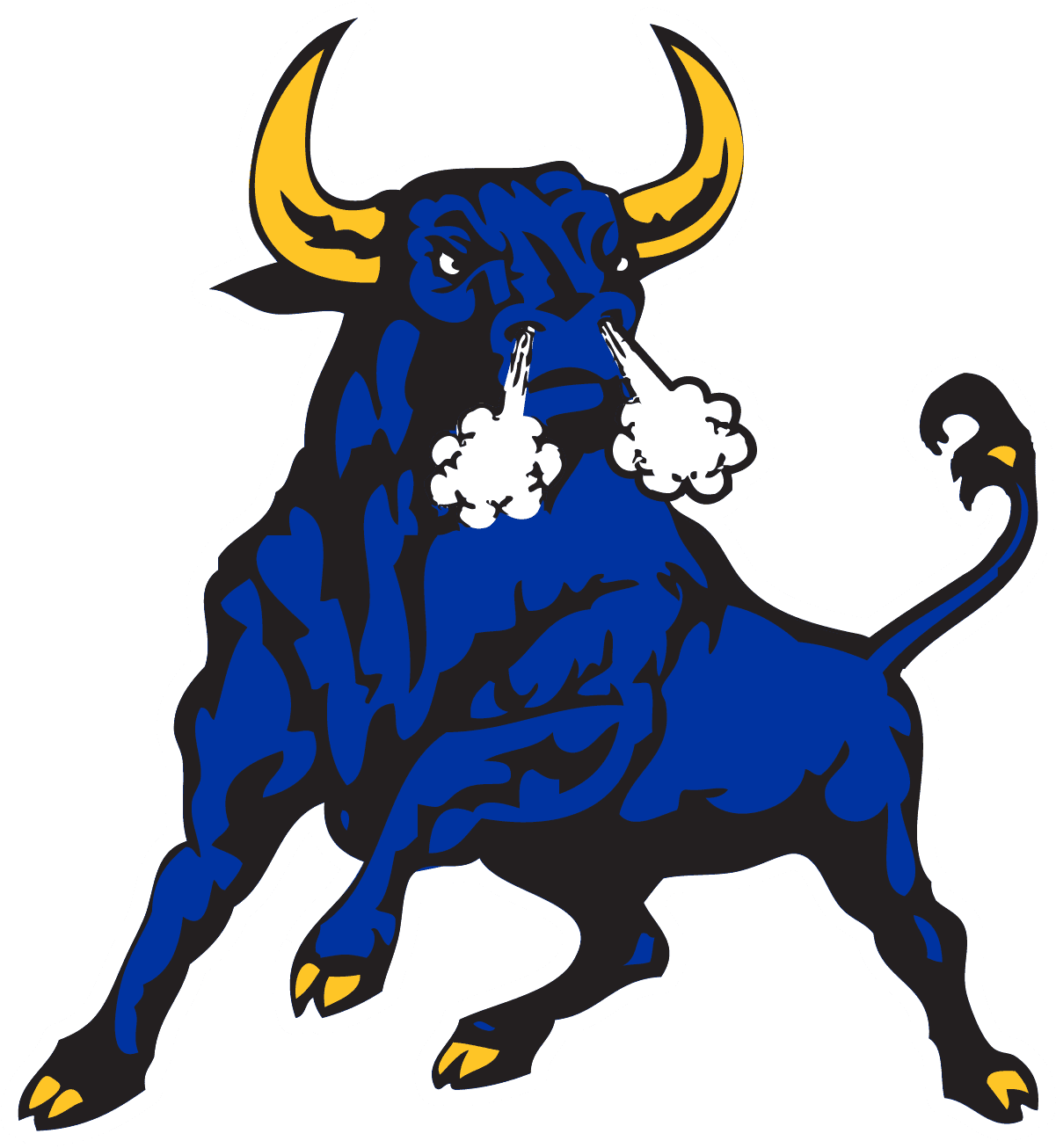 Northwestern Senior High