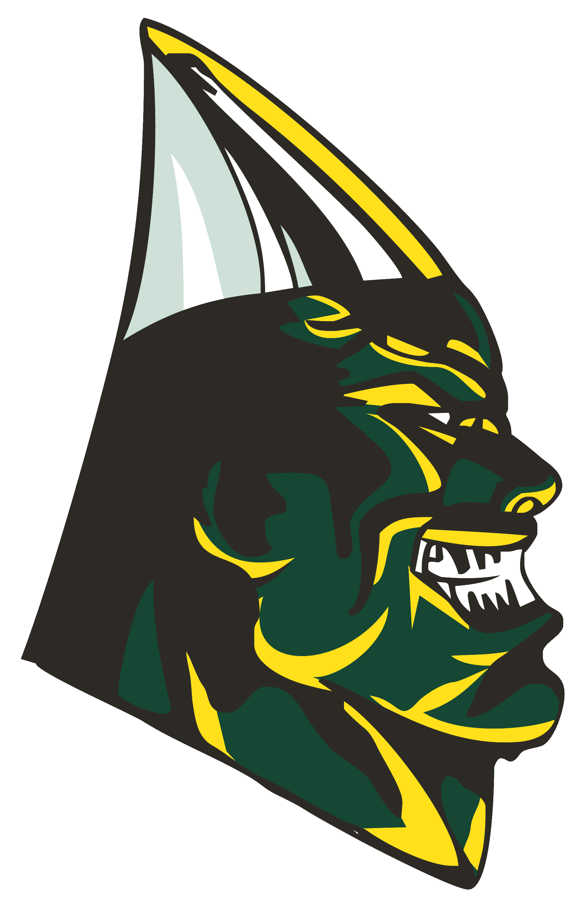 Central Senior High School